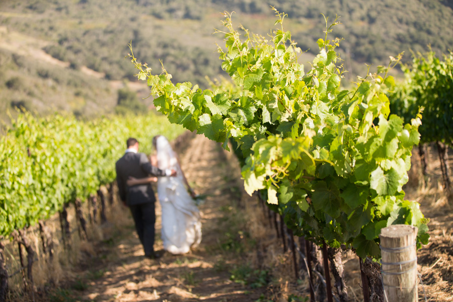 Sanford Winery Wedding Photography  - 71